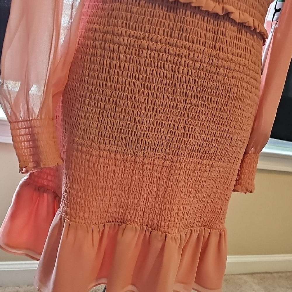 1.State Spring In Bloom Blush Pink Ruffle Dress (Size L) - Picture 8 of 9